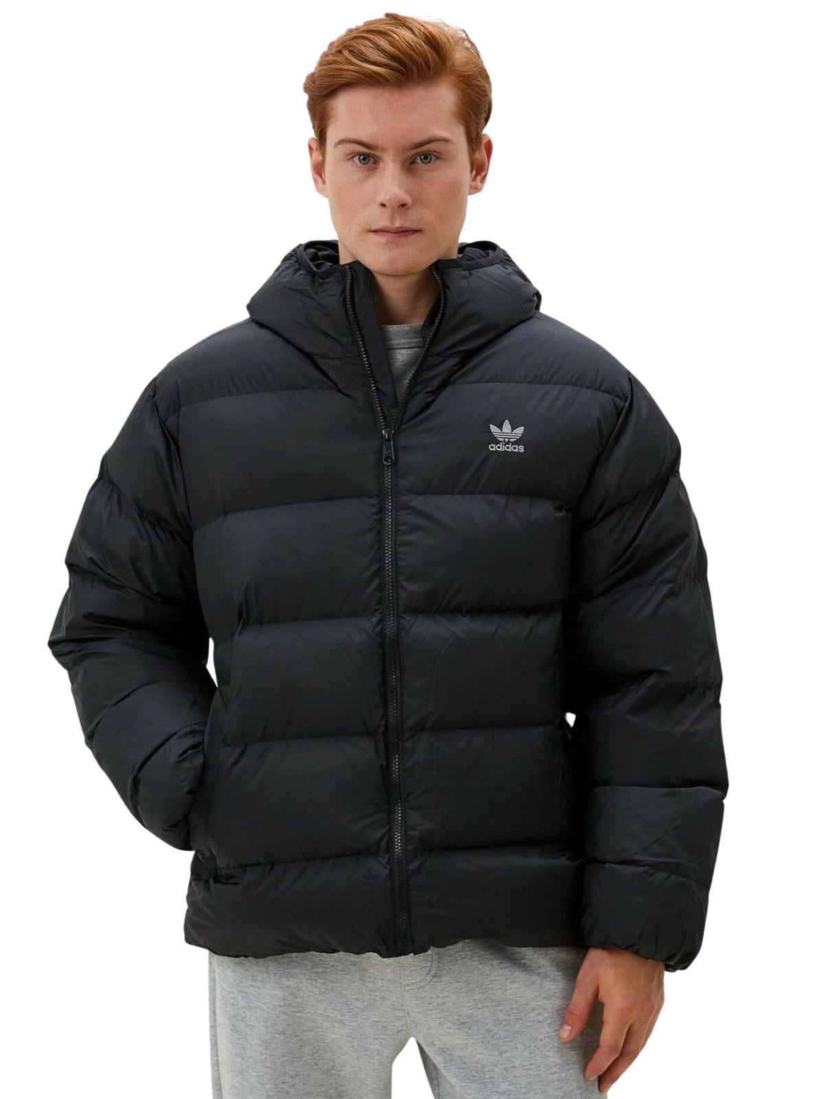 Adidas | Mens Hooded Puffer Jacket
