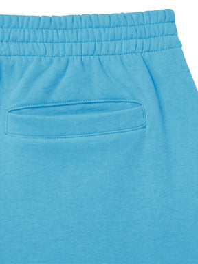 Lacoste | Mens Fleece Shorts